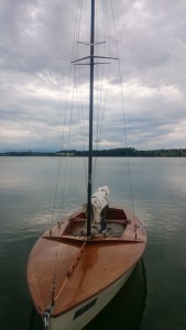 Kielzugvogel vor dem Segelsetzen