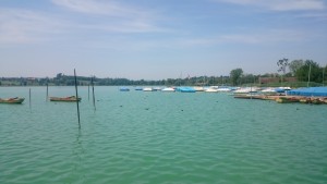 Segelboote am Pfäffikersee